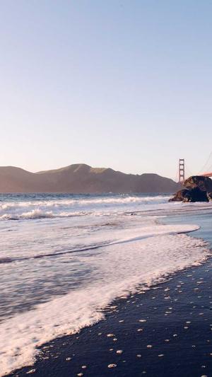 网站seo收录工具截图4