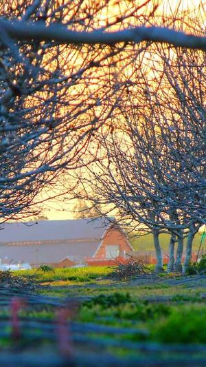 天道蜘蛛池程序截图4