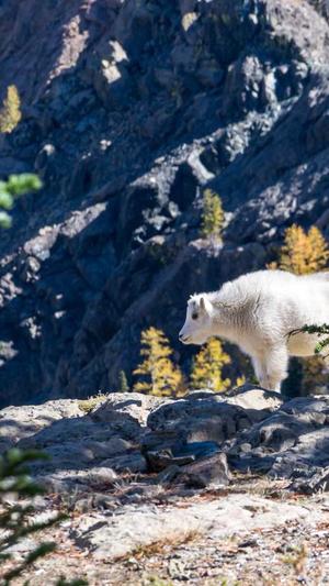 泛目录成本截图3