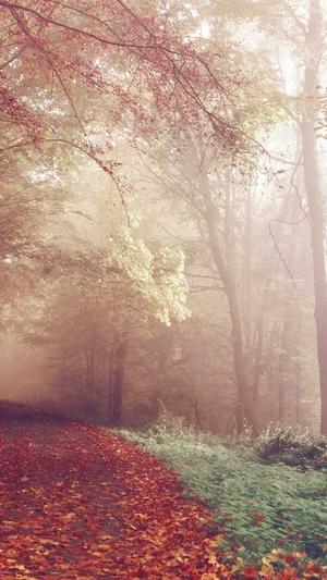 南京高端网站建设截图1