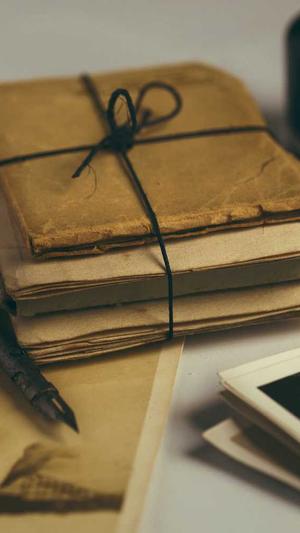 在线观看蜘蛛池截图3