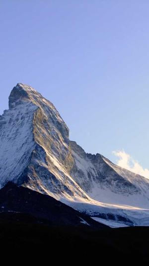 企业网站免费建设截图5