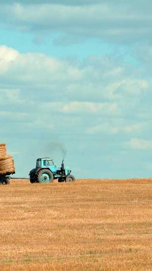 泰安网站建设截图2