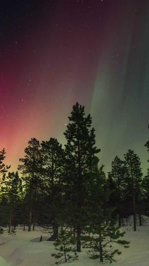 泛目录站群后台文件截图4