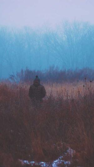 seo自动生成工具霸屏截图1