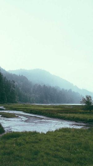 泛目录站群软件截图1