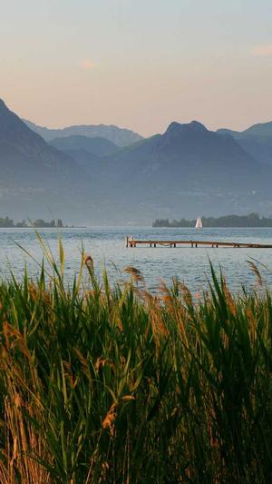 seo站长工具平台截图2