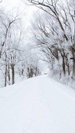 seo代码优化截图1