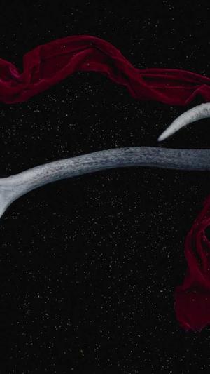 灰词泛目录出租截图2