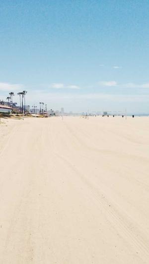 泛目录站群软件词霸截图3