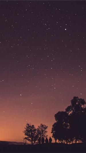 seo关键词工具截图4