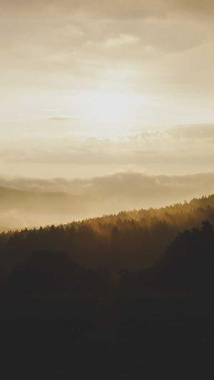 枫叶蜘蛛池有用吗截图2