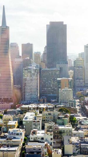 泛目录站群后台文件截图1