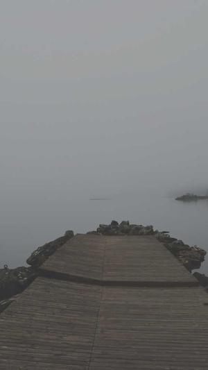 郑州seo优化工具截图1