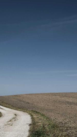 深圳网站建设公司截图2