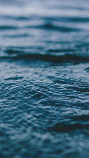 站长工具seo伪原创截图3