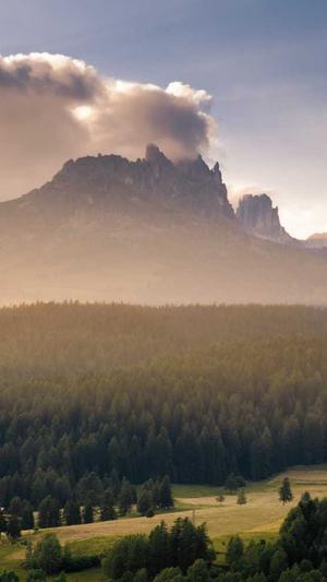 淄博网站建设截图2