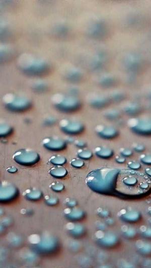 厦门网站建设截图1