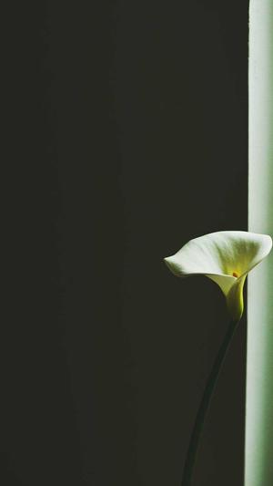 佛山 网站建设截图2