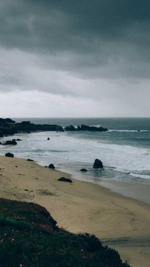 站长超级蜘蛛池截图2