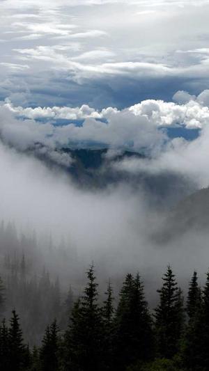 外贸seo工具截图3