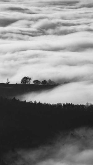 郑州seo排名截图1