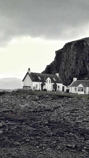 福建头条蜘蛛池出租截图1