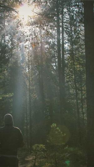 小说站seo工具截图1