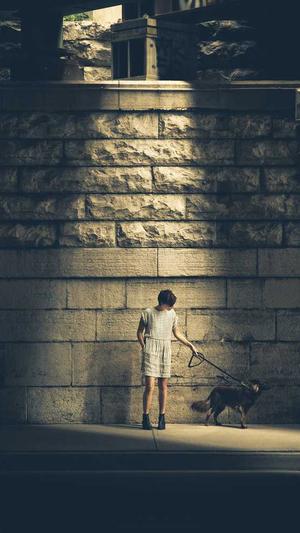 无名蜘蛛池程序版截图1