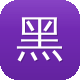 黑帽子蜘蛛池图标